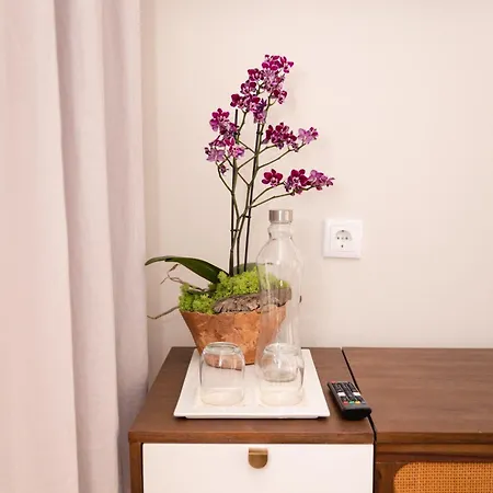 호텔 Quinta Dos Tojais Rural 세로리코데바스토