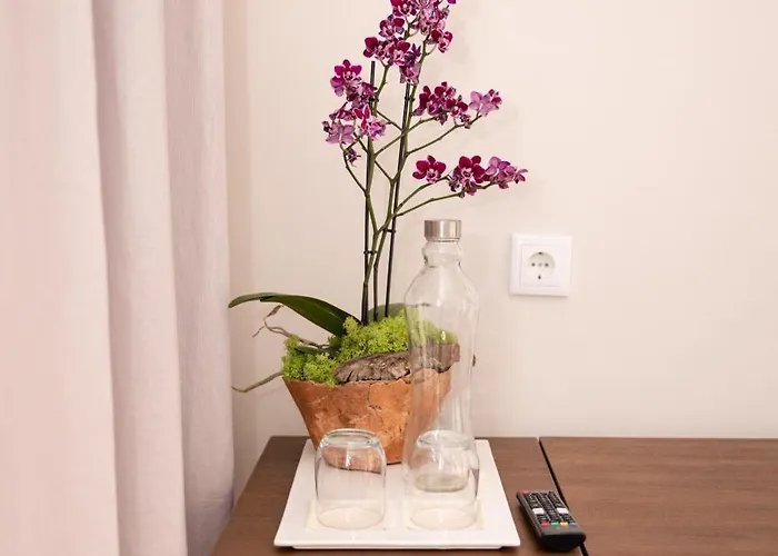 Hotel Quinta Dos Tojais Rural Celorico De Basto